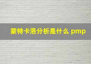 蒙特卡洛分析是什么 pmp